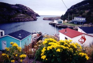 Quidi-Vidi Harbour (not my shot)